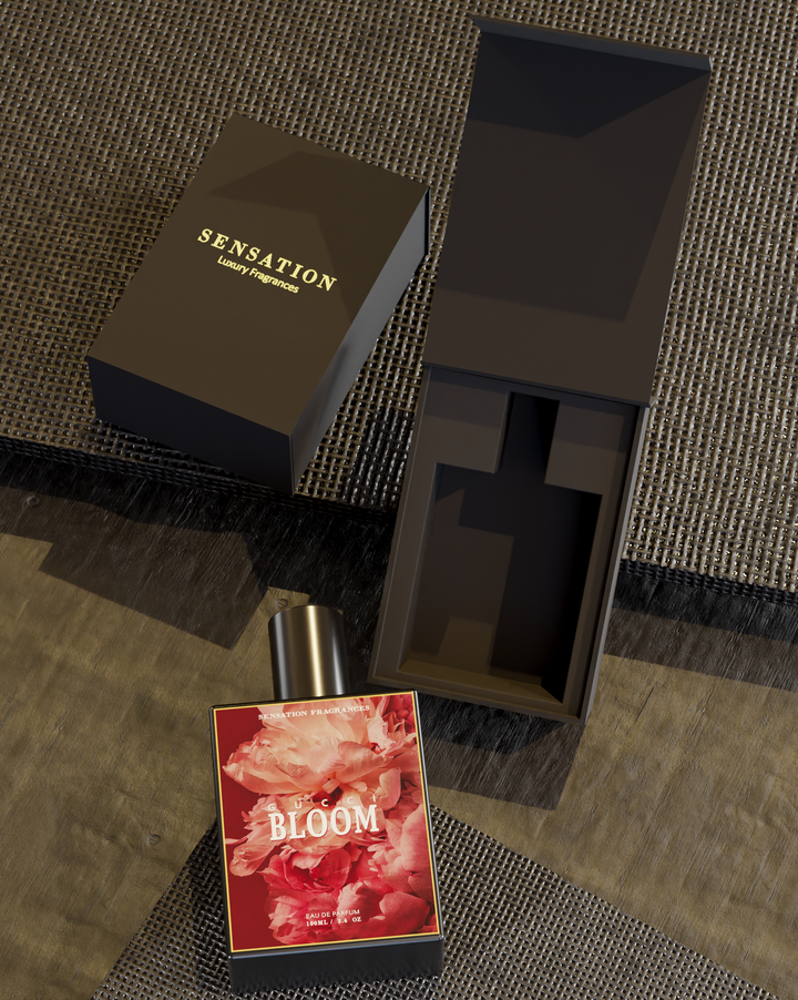 Blossom - Our Impression of Bloom